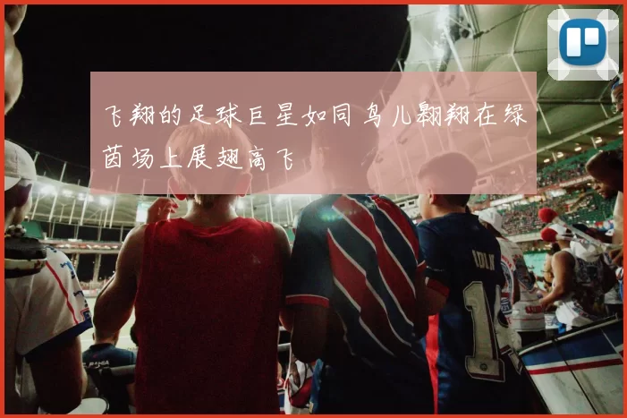 飞翔的足球巨星如同鸟儿翱翔在绿茵场上展翅高飞