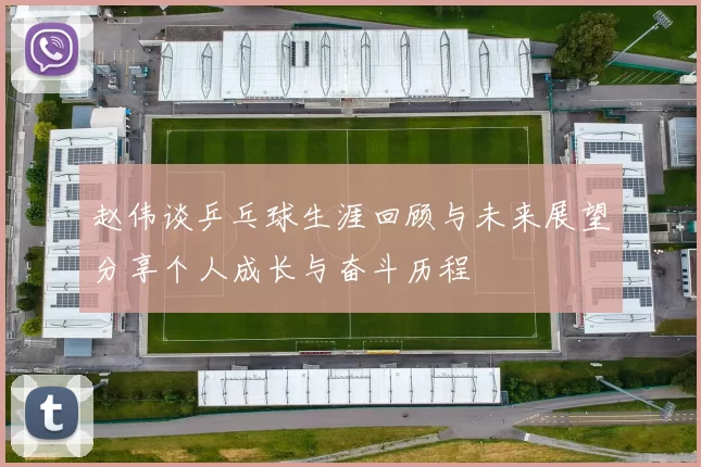 赵伟谈乒乓球生涯回顾与未来展望分享个人成长与奋斗历程