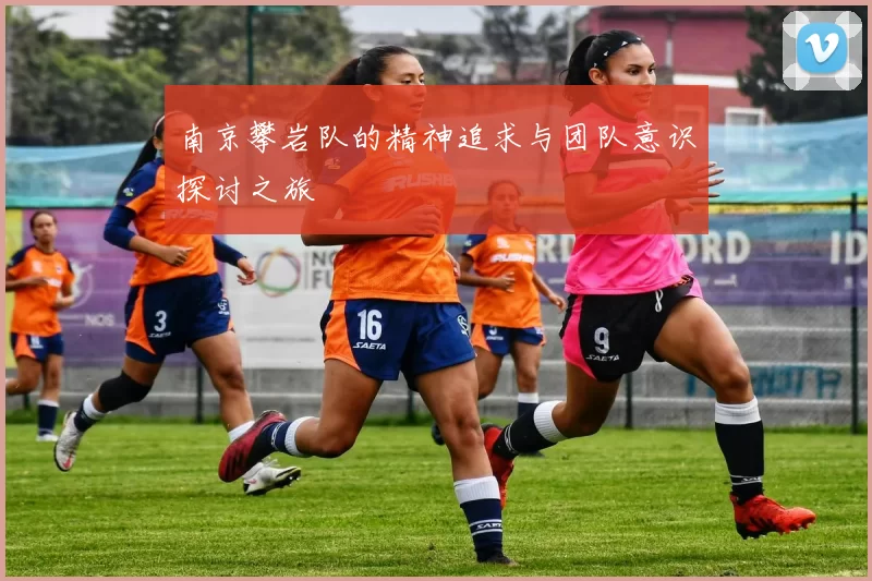 南京攀岩队的精神追求与团队意识探讨之旅