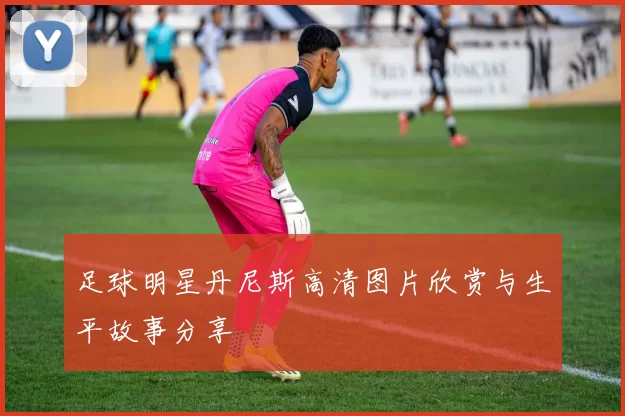 足球明星丹尼斯高清图片欣赏与生平故事分享