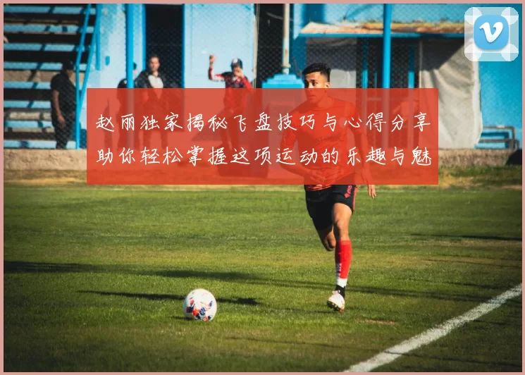 赵丽独家揭秘飞盘技巧与心得分享助你轻松掌握这项运动的乐趣与魅力