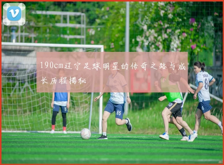 190cm辽宁足球明星的传奇之路与成长历程揭秘
