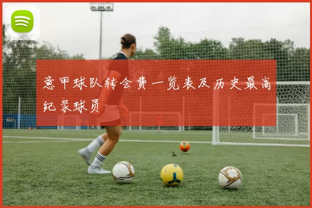 意甲球队转会费一览表及历史最高纪录球员