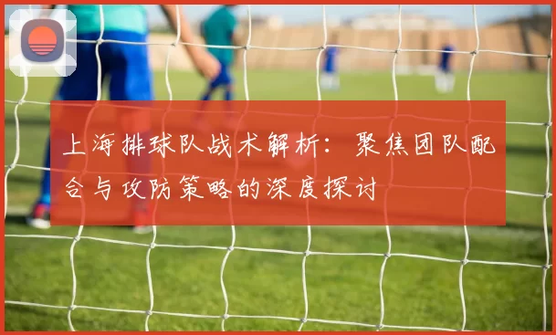 上海排球队战术解析：聚焦团队配合与攻防策略的深度探讨