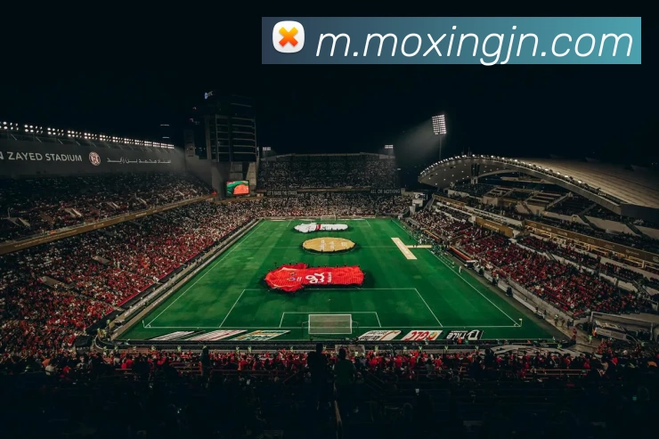 九游体育APP 封面图